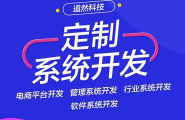企業定制網站建設,小程序開發,微信開發
