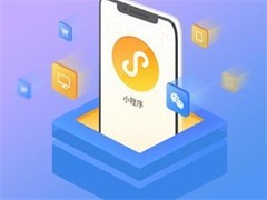 成都軟件開發(fā)公司